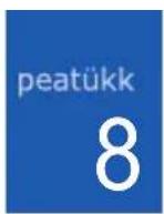 SAMSUNG SGH-I450B - Avatud ühenduse sulgemine - 1
