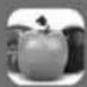 SENCOR SKS 7076GD - Sencor Food by Dine4fit - 3