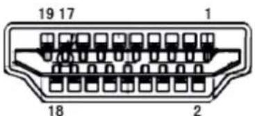 19 17 1 18 2