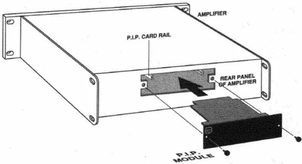 AMPLIFIER P.I.P. CARD RAIL REAR PANEL OF AMPLIFIER P.I.P. MODULE