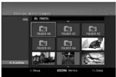 Список Фотередик НВЕ ФОТЫ FOLDER 00 FOLDER 01 FOLDER 02 FOLDER 03 FOLDER 04 R. Калина С Влад КОЗИД Метка Г. Закр