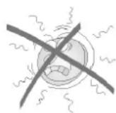 ELECTROLUX ESE6078 - DON'Ts - 7