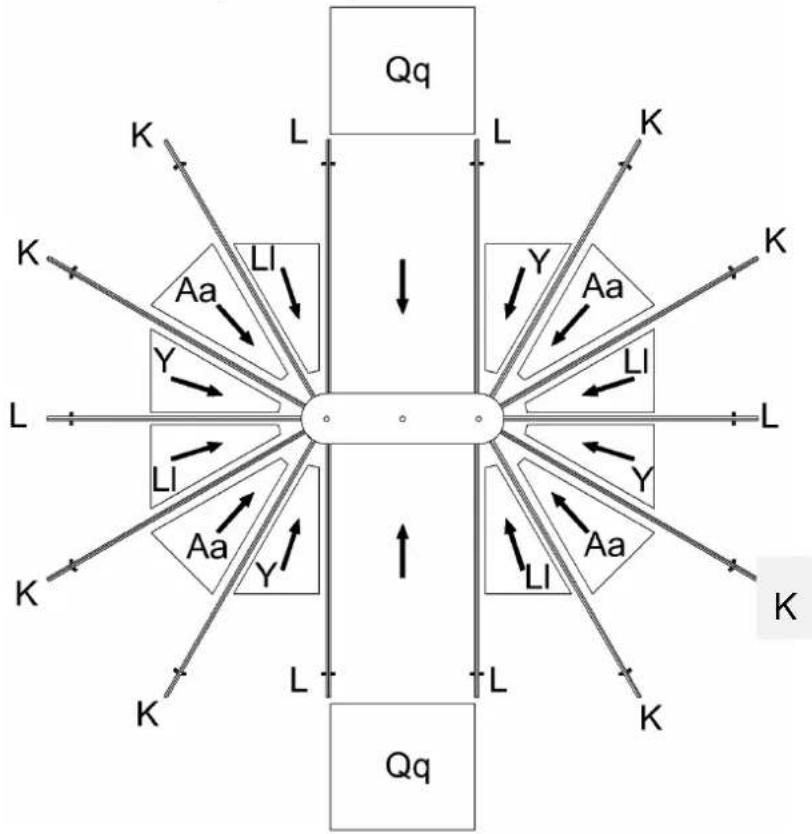 graph TD A["Qq"] --> B["L"] A --> C["K"] B --> D["Aa"] B --> E["Y"] C --> F["Aa"] C --> G["Y"] D --> H["LI"] E --> I["LI"] F --> J["LI"] G --> K["LI"] H --> L["Qg"] I --> M["Qg"] J --> N["Qg"] K --> O["Qg"] style A fill:#f9f,stroke:#333 style B fill:#ccf,stroke:#333 style C fill:#ccf,stroke:#333 sty…