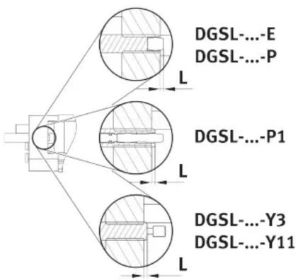 DGSL-...E DGSL-...P L DGSL-...P1 L DGSL-...Y3 DGSL-...Y11 L