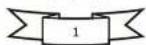 Osprey FL-OSP-600 - Rifle Tactical Light Manual - 2