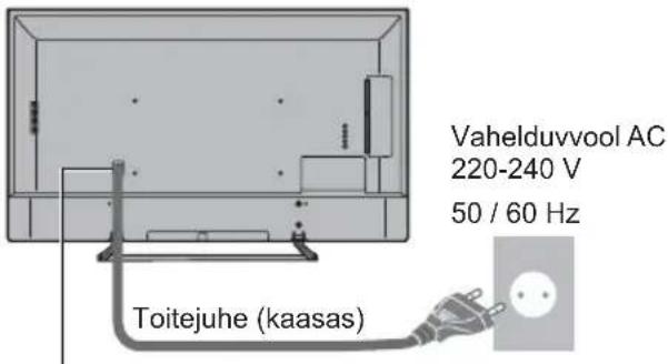 PANASONIC TX-55EX620E - Põhilised ühendused - 1
