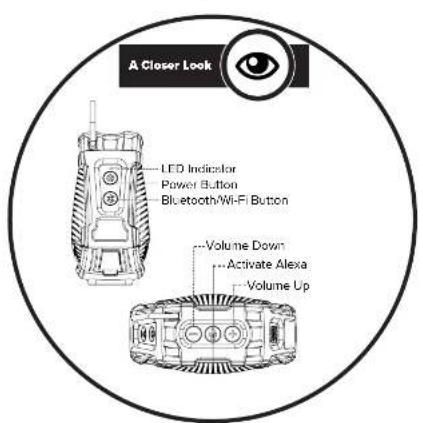 A Closer Look LED Indicator Power Button Bluetooth/Wi-Fi Button Volume Down Activate Alexa Volume Up
