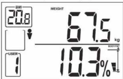 BMI 20.8 WEIGHT 67.5 kg / USER 10.3% BODYFAT