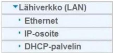 Lähiverkko (LAN) • Ethernet • IP-osoite • DHCP-palvelin
