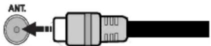 Finlux 22F6050W - Antenna Connection - 1