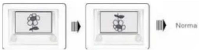 Dyon Sigma 32pro - Drehen von Bildern - 4