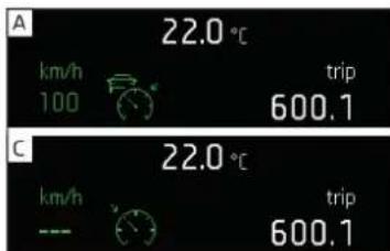A km/h 100 22.0 °C trip 600.1 C km/h --- 22.0 °C trip 600.1