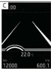 C:00 22.0 °C km 12000 600.1 trip