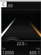 C:00 22.0 °C 12000 trip 600.1