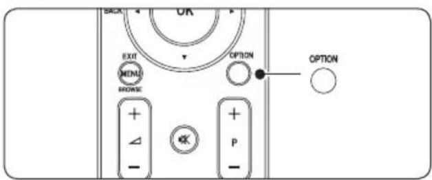 BACK EXIT MENU BROWSE OPTION OPTION + - + - P -