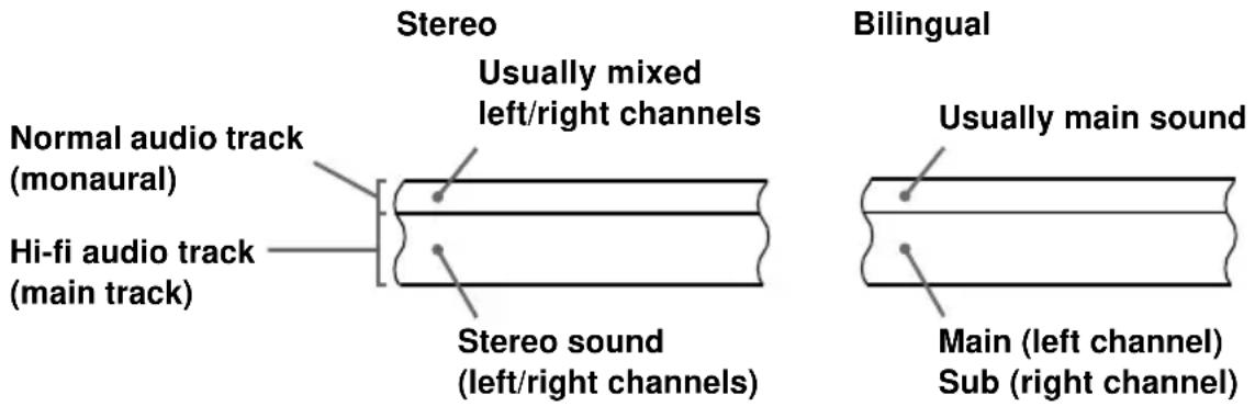 Stereo Usually mixed left/right channels Normal audio track (monaural) Hi-fi audio track (main track) Stereo sound (left/right channels) Bilingual Usually main sound Main (left channel) Sub (right channel)