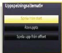 Uppspelningsalternativ Spela från start Äteruppta Spela upp från offset