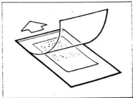 TOSHIBA TF561 - DRAGERVEL - 1