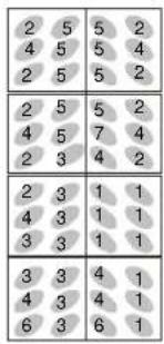 2 5 5 2 4 5 5 4 2 5 5 2 2 5 5 2 4 5 7 4 2 3 4 2 2 3 1 1 4 3 1 1 3 3 1 1 3 3 4 1 4 3 4 1 6 3 6 1