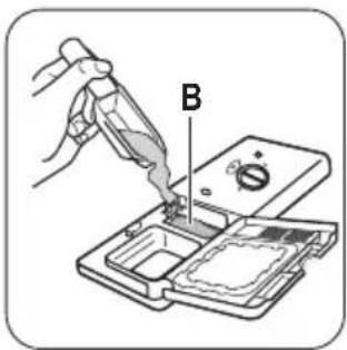 B