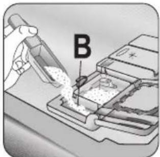 B