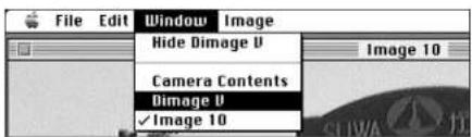 File Edit Window Image Hide Dimage U Image 10 Camera Contents Dimage U ✓Image 10