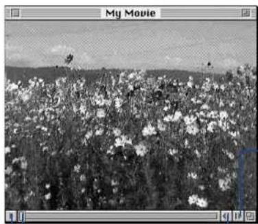 KONICA MINOLTA Dimage V - ELOKUVAIKKUNA - 1