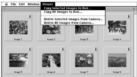 KONICA MINOLTA Dimage V - VALITTUJEN KUVIEN KOPIOINTI - 1