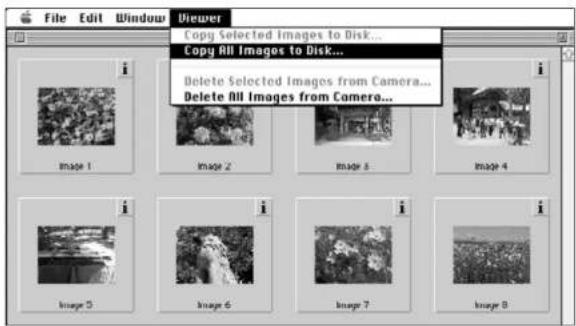 KONICA MINOLTA Dimage V - KAIKKIEN KUVIEN KOPIOINTI - 1
