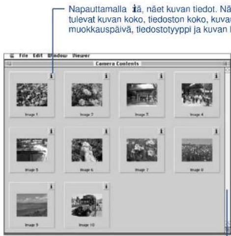 Napauttamalla ää, näet kuvan tiedot. Nä tulevat kuvan koko, tiedoston koko, kuvau muokkauspäivä, tiedostotyyppi ja kuvan I File Edit Window Disaver Camera Contents Image 1 Image 2 Image 3 Image 4 Image 5 Image 6 Image 7 Image 8 Image 9 Image 10