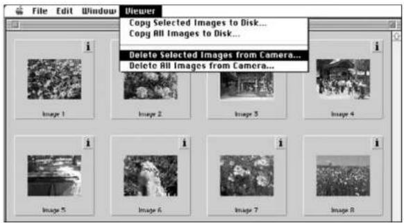KONICA MINOLTA Dimage V - VALITTUJEN KUVIEN POISTAMINEN - 1