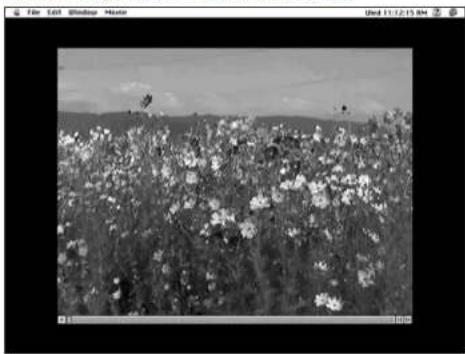 KONICA MINOLTA Dimage V - Elokuvaesitys - 1