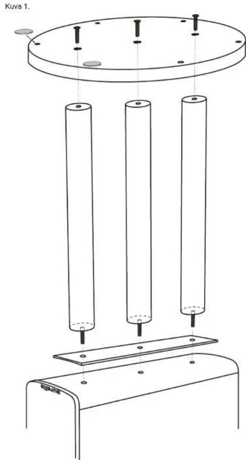 Aurelia Cerica - Jalustan asentaminen - 1