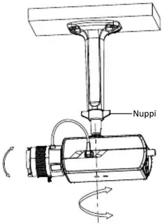 Nuppi