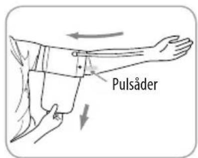 Pulsåder