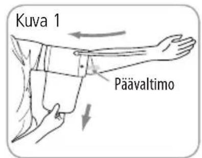 Kuva 1 Päävaltimo