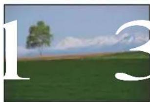 Landscape photo of a green field with a tree and snow-capped mountains in the background (no text or symbols)