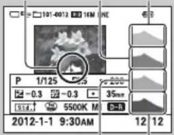 101-0012 38 16M LNE P 1/125 -0.3 200 514 5500K M D-R 2012-1-1 9:30AM 12 12