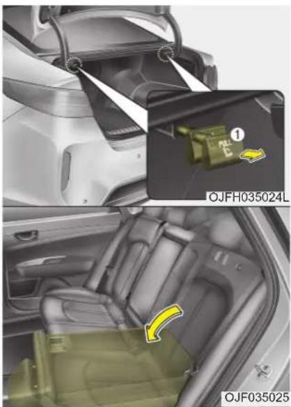 OJFH035024L OJF035025