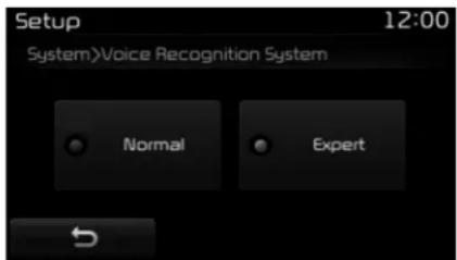Setup 12:00 System\Voice Recognition System Normal Expert
