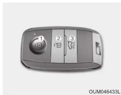 1 2 3 OUM046433L