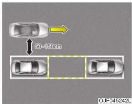 50=150cm OJF045242L