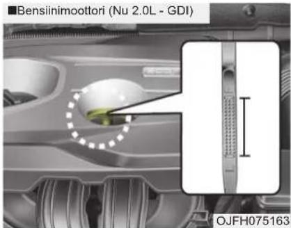 Bensiinimooottori (Nu 2.0L - GDI) OJFH075163