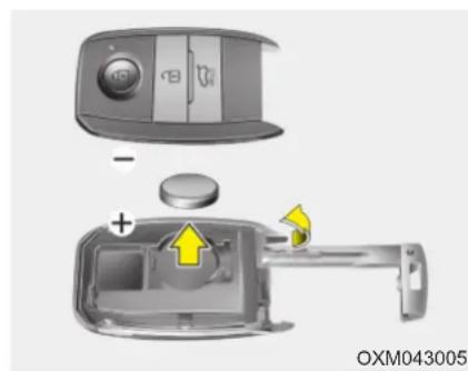 OXM043005