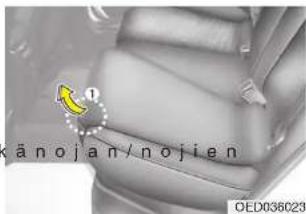 känojan/nojien OED036023