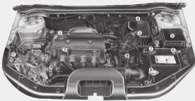 KIA Cee'd (2006) - MOOTTORITILA - 1