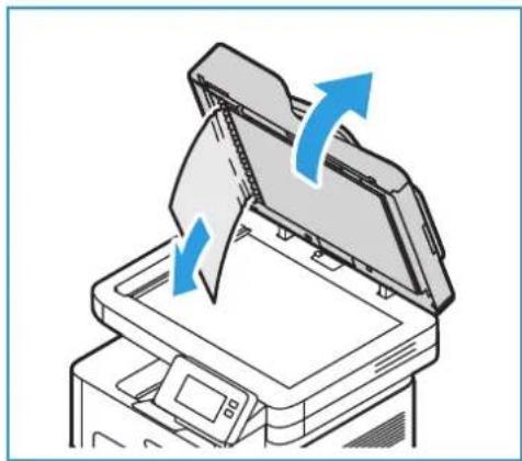 XEROX B215V - Paperitukkeumien selvittäminen originaalien syöttölaitteesta - 2