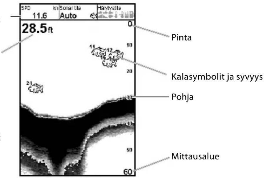 SPD 11.6 km Sonar tila Auto Bälytysilla 28.5ft 0 Pinta 11 12 10 20 24 Kalasymbolit ja syvyys Pohja 30 40 50 60 Mittausalue
