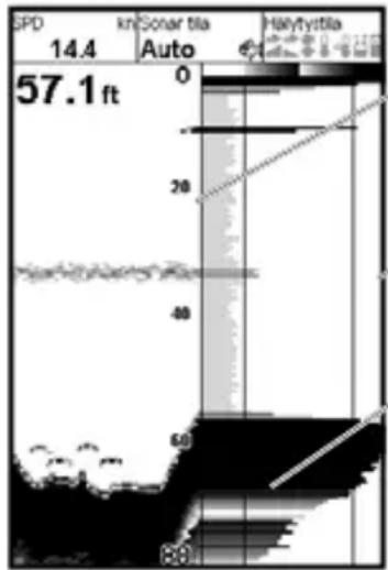 NAVMAN Fish 4432 - 5-5 Sonar A-Scope -näkymä - 1
