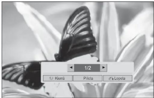 1/2 Kierra Pilota Lopeta